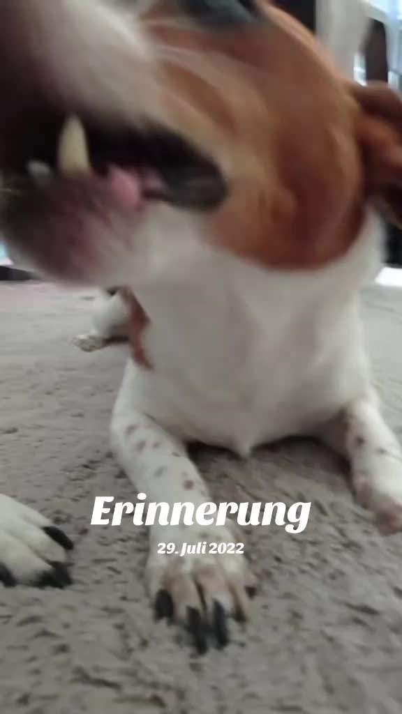 @Manu