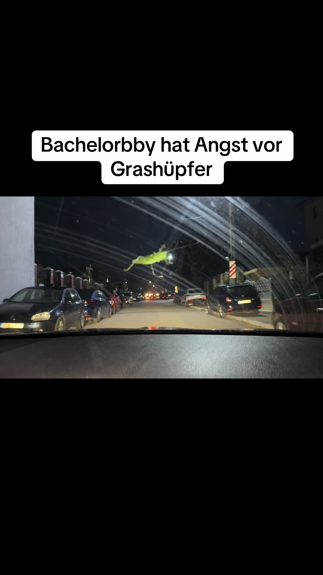 @bachelorbby2026