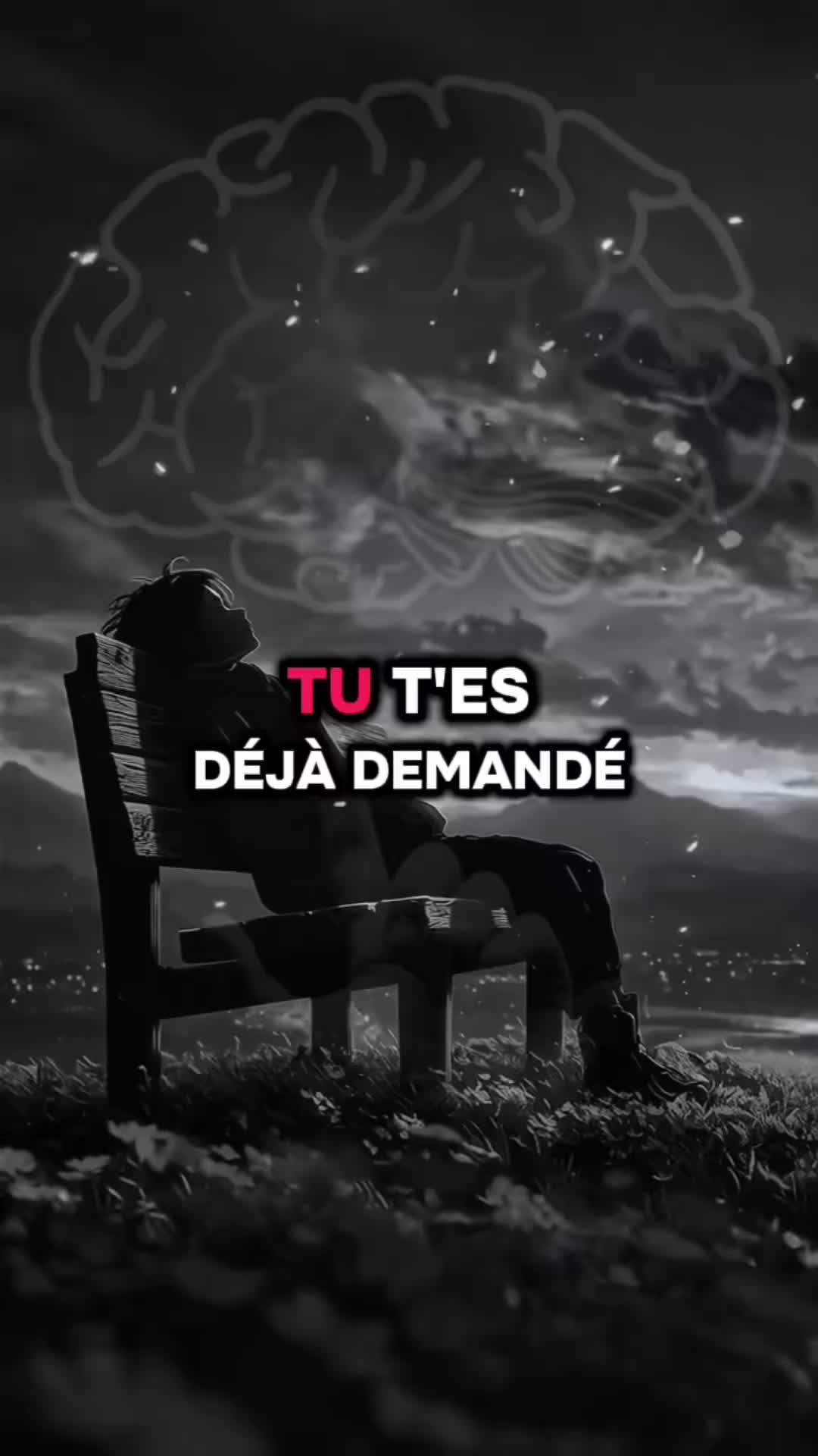 @rezaoui