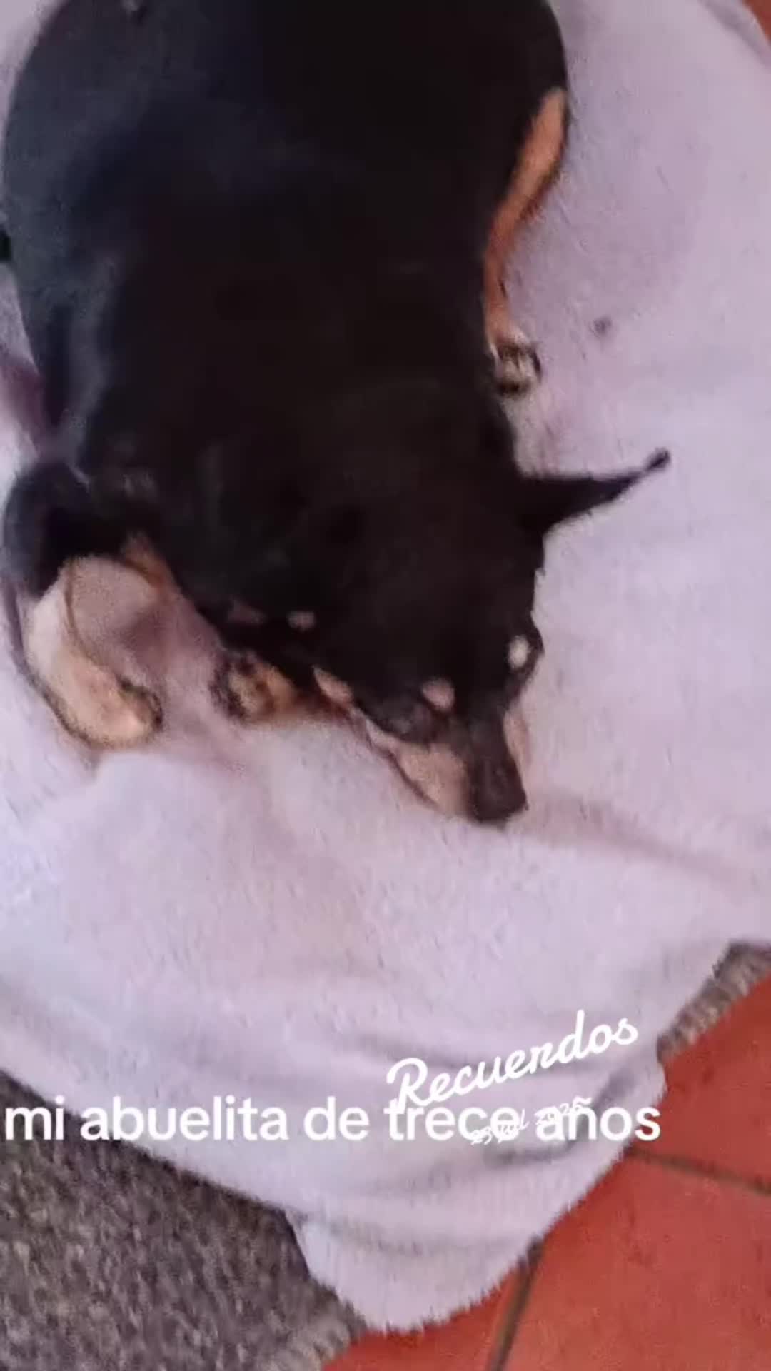 @Martín y Carlota