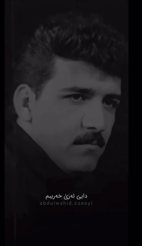 @mamo.bebani