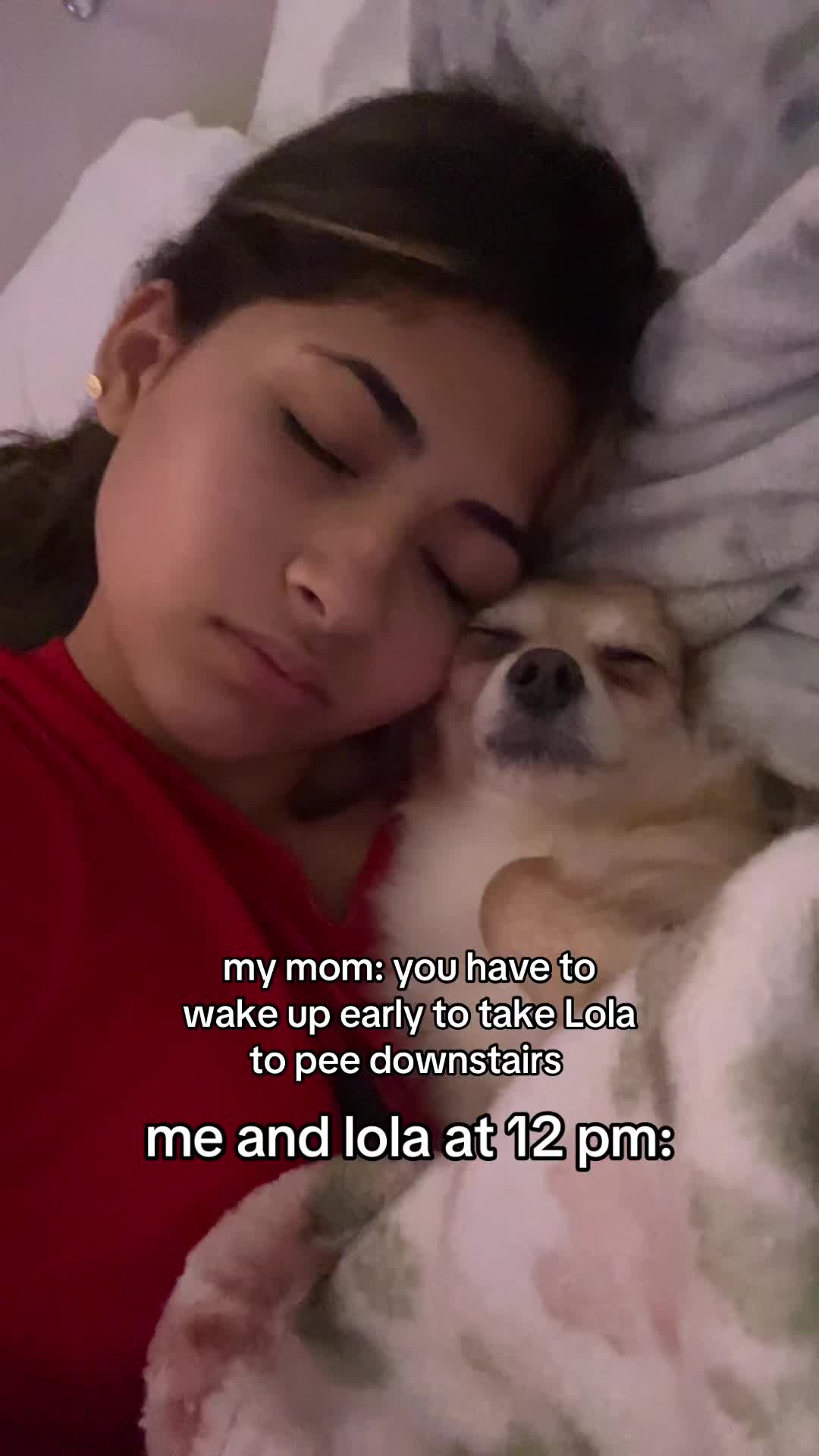 @bri