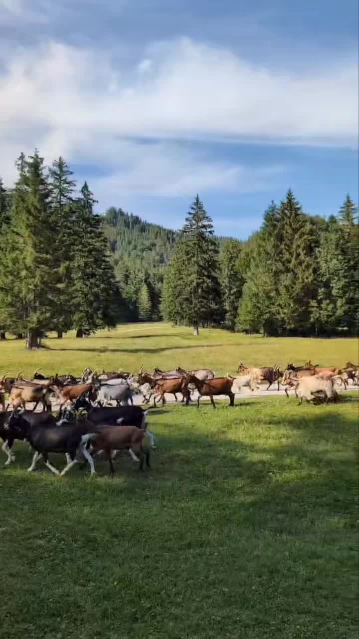 @Bea ☀️