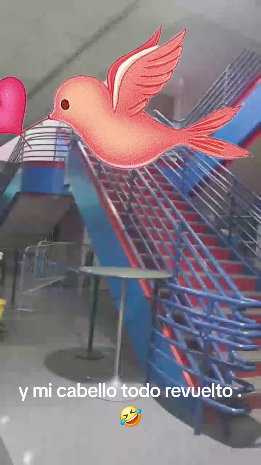 @Pedro Ramos🚀