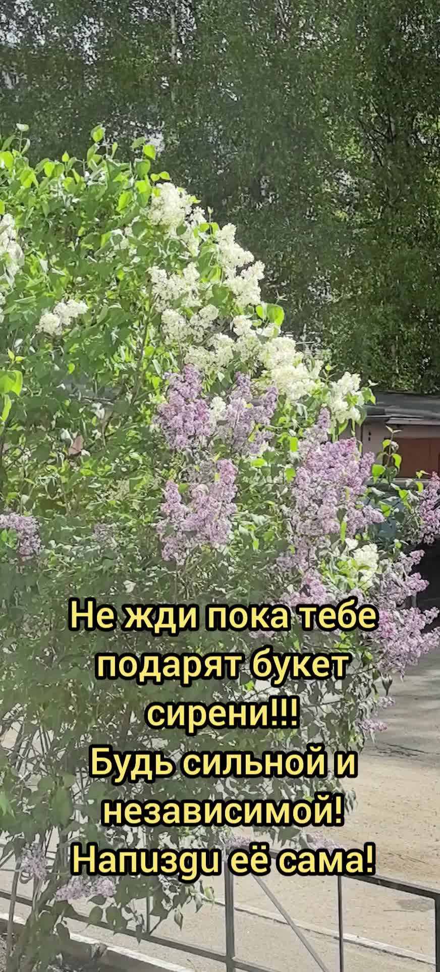 @Деловуха-ха