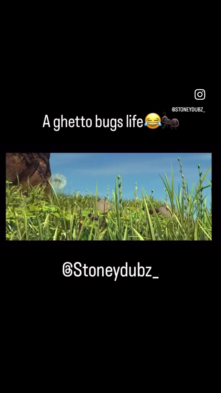 @curlyfries.qntn