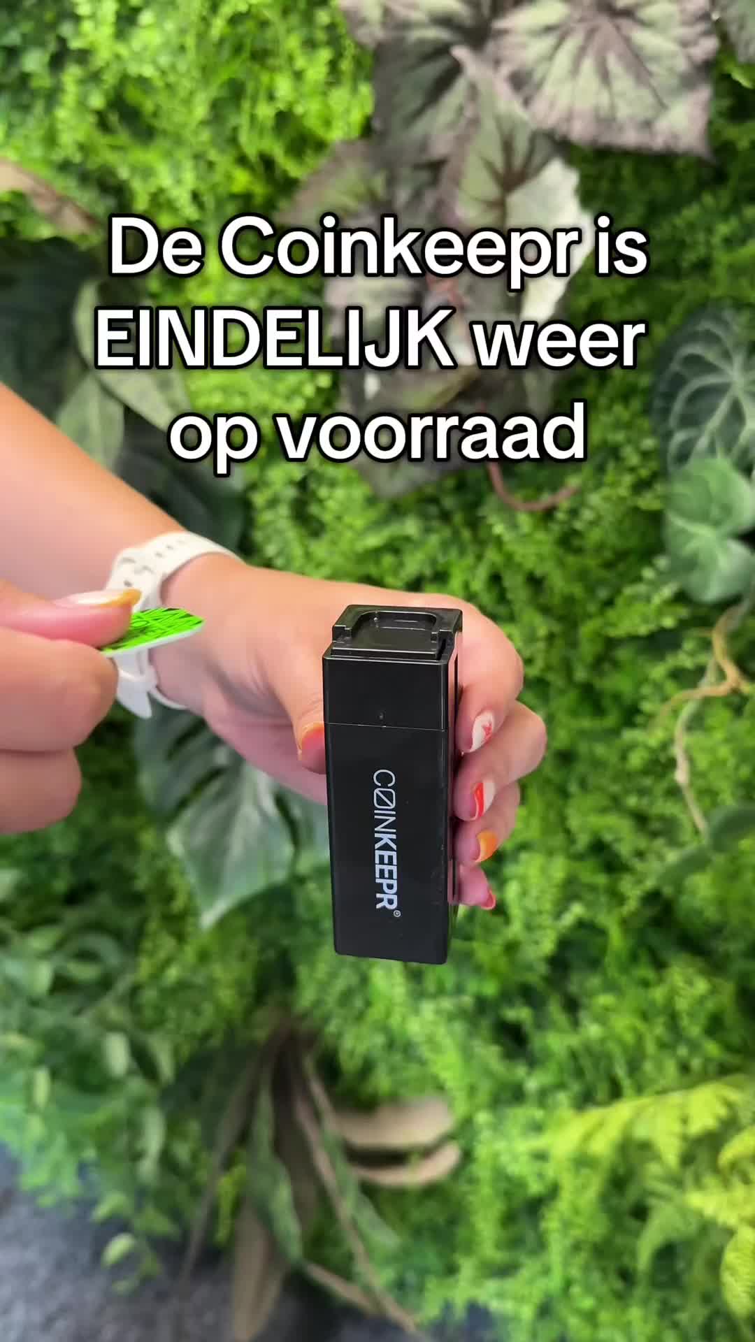 @Festival Supply
