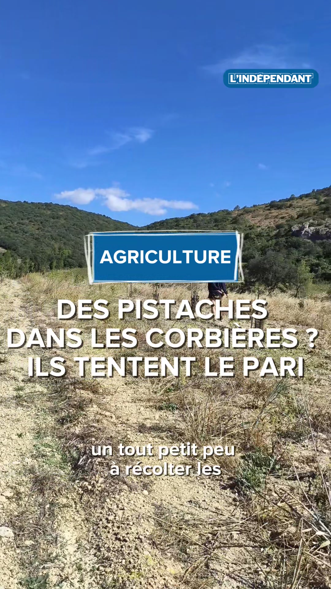 @L'Indépendant