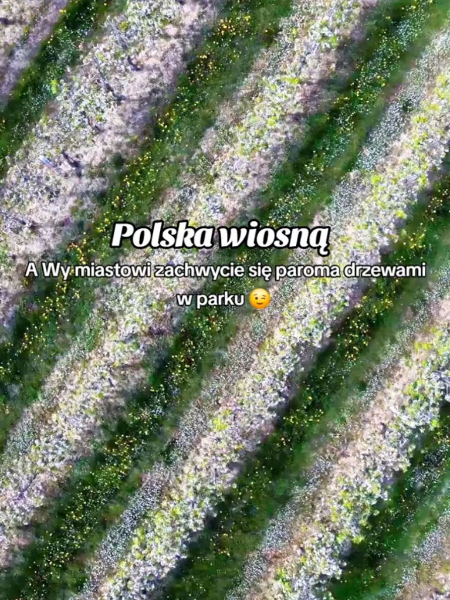 @Wycieczkoteka.pl Zajrzyj tu!