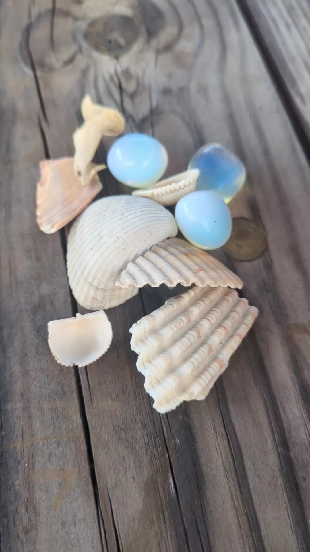 @Mermaid Jupiter