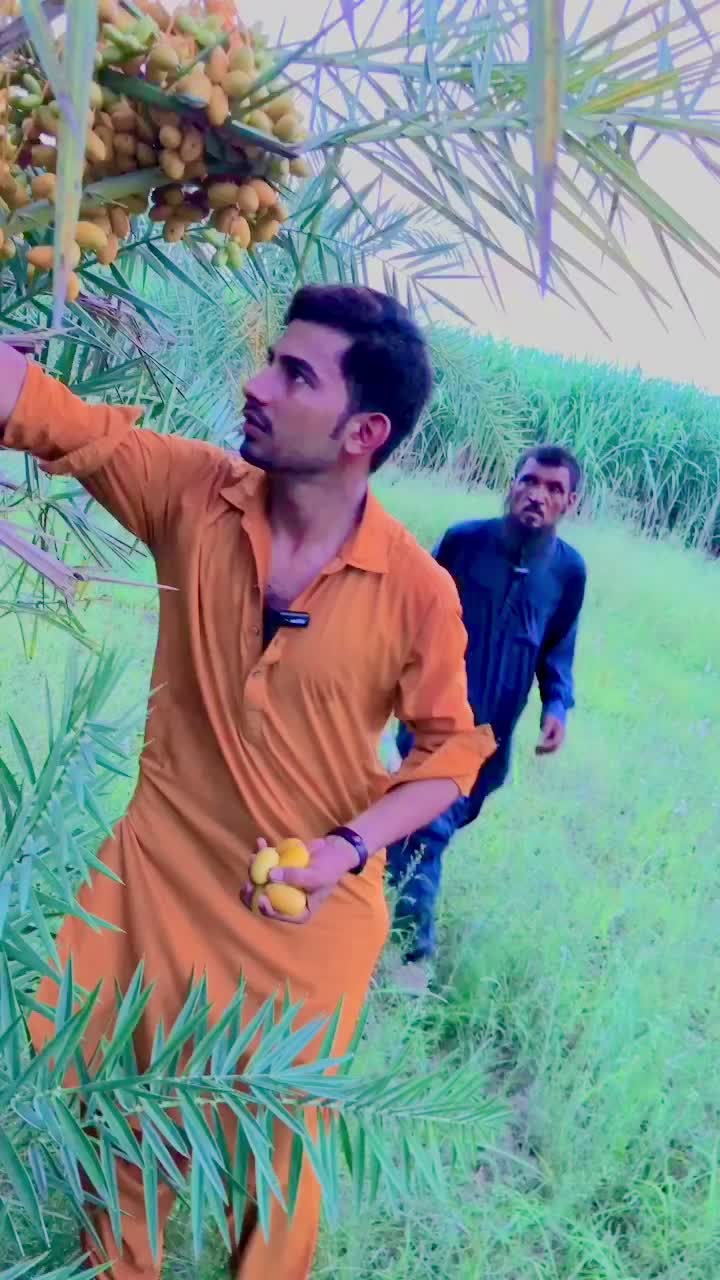 @Raamzan;;;king::2576