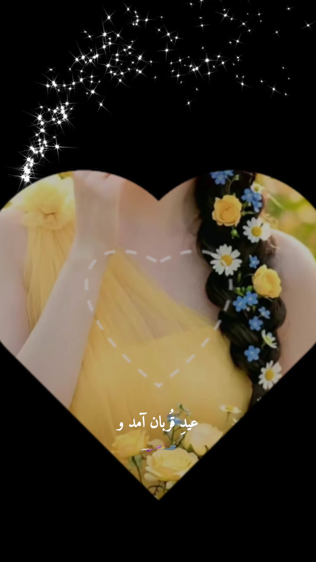 @Alice Zohan