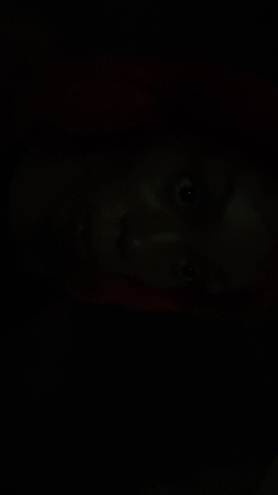 @MORGANNAJEE