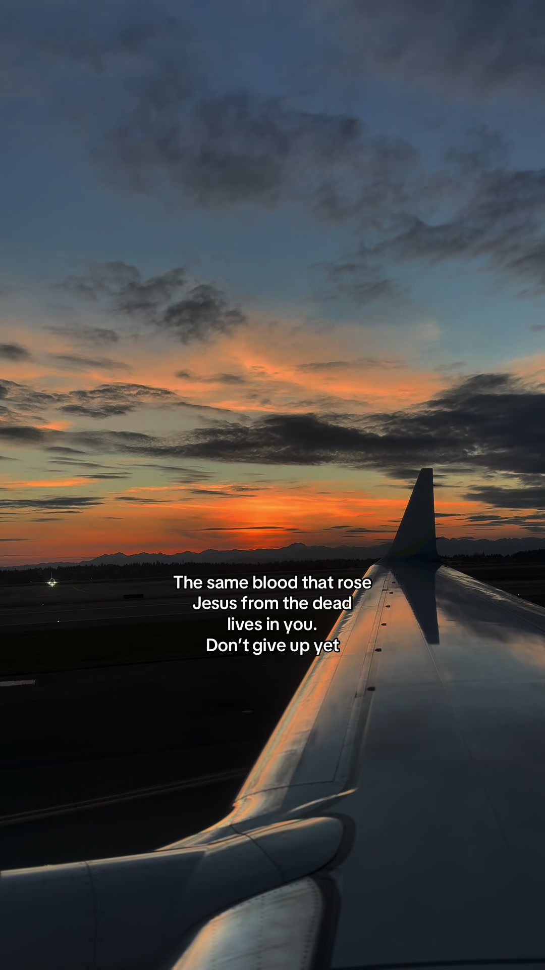 @🕊️
