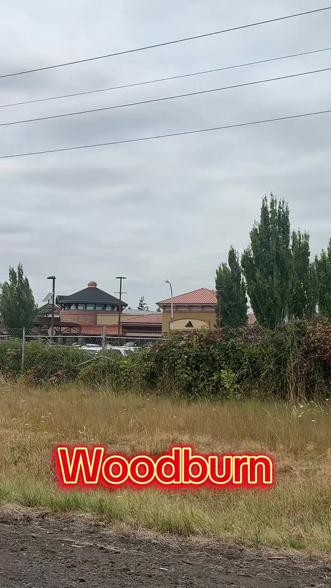 @Patricio780