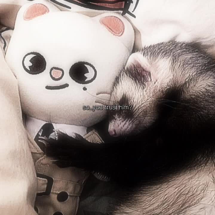 @Numberone_SKZFAN♡