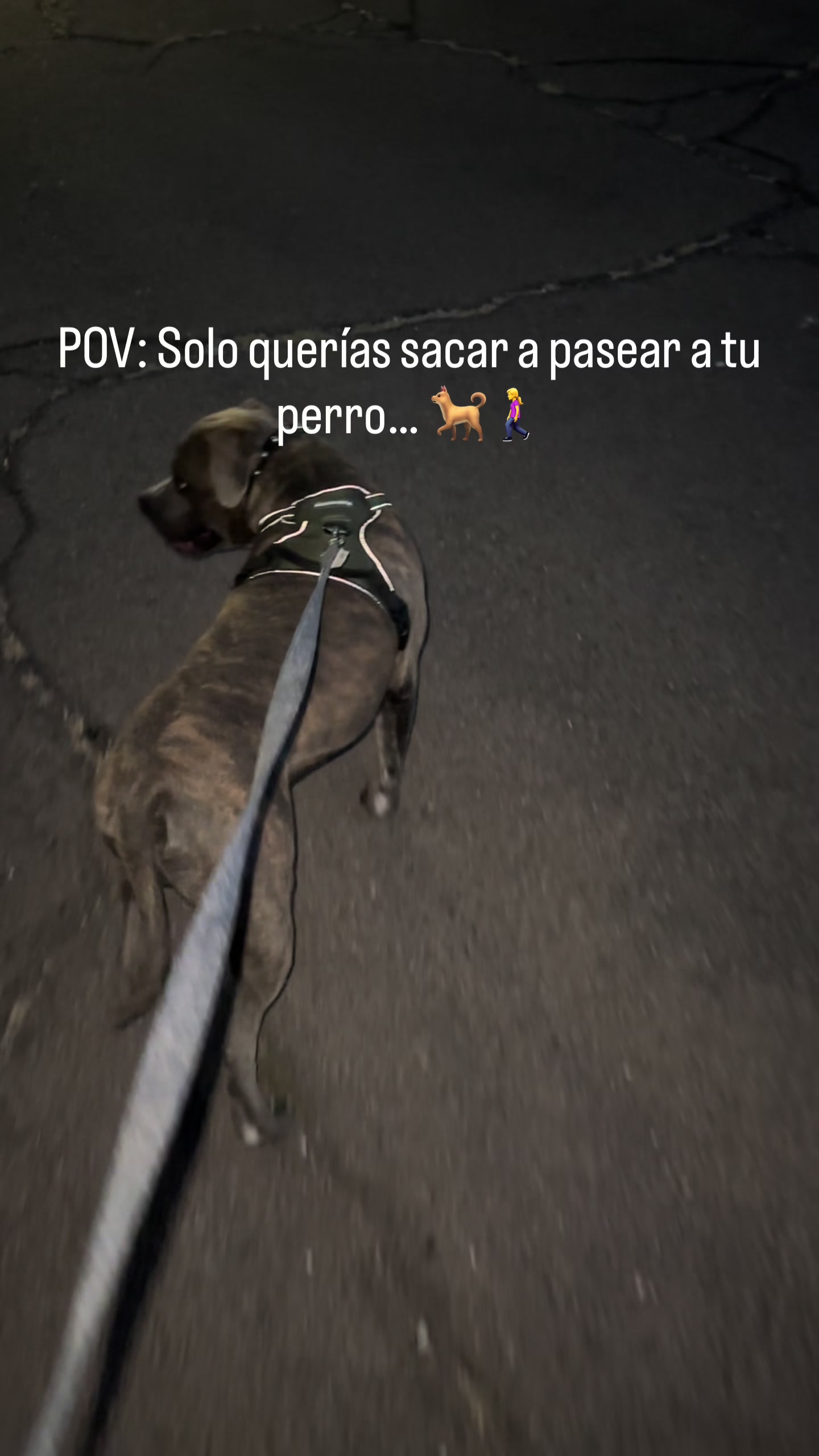 @Karina Aguirre