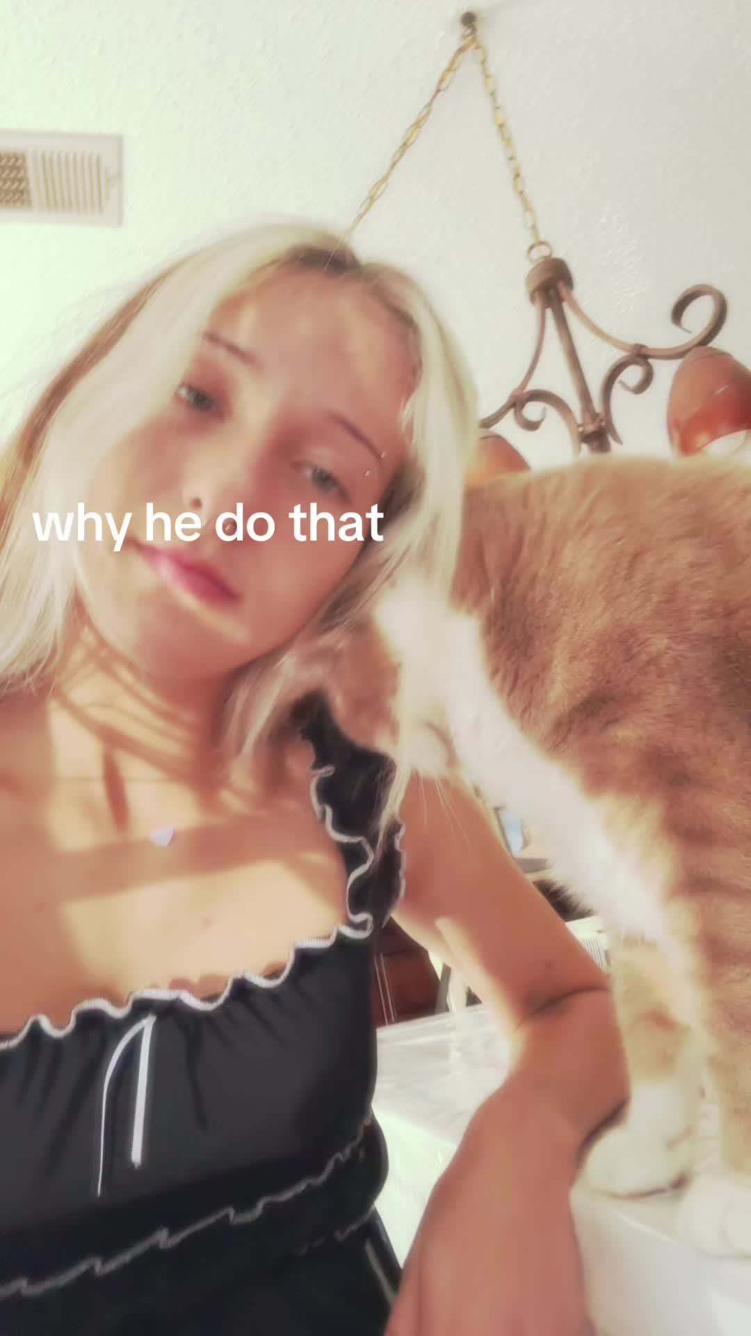 @arianna