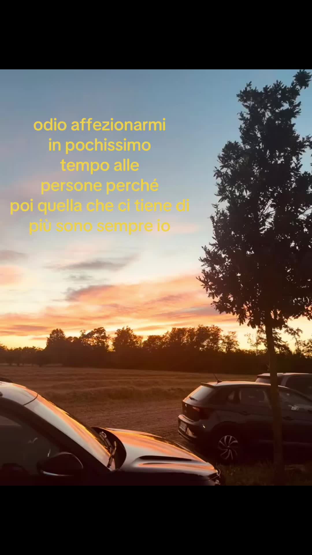 @ludoo🦅