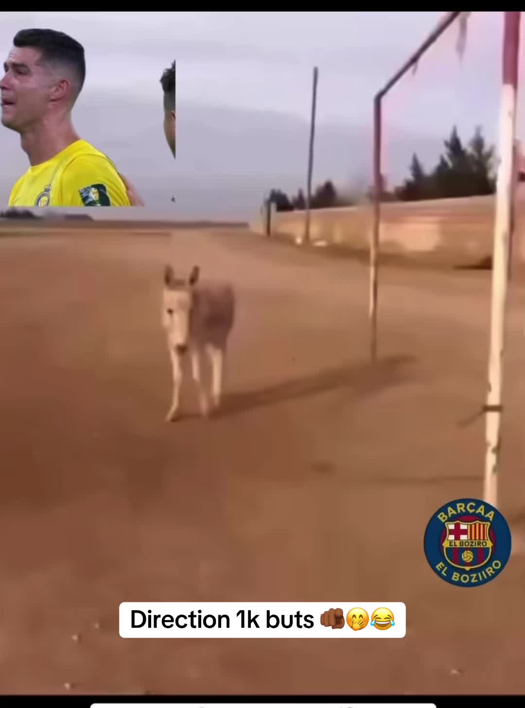@๐ธ๐ณ๐ซ๐๐๐๐๐ช๐ท๐๐
๐๐๐ฎ๐น