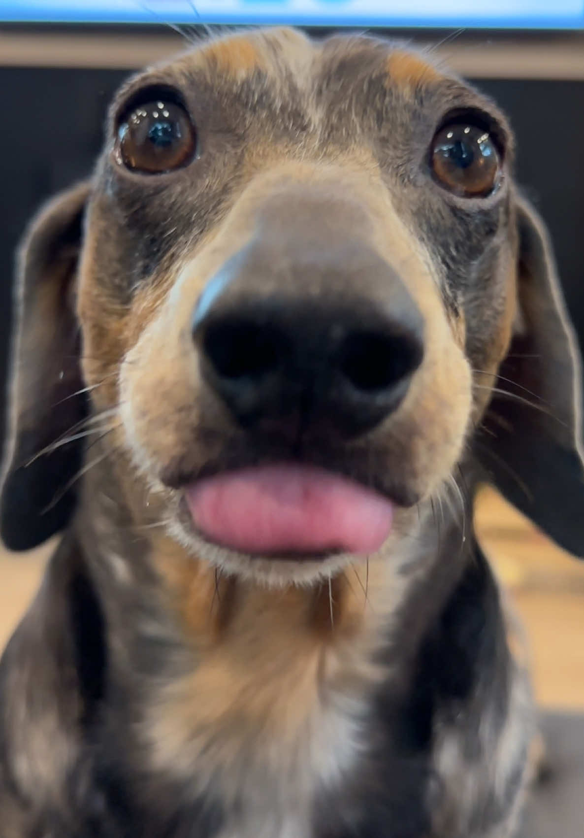 @Oscar The Wiener