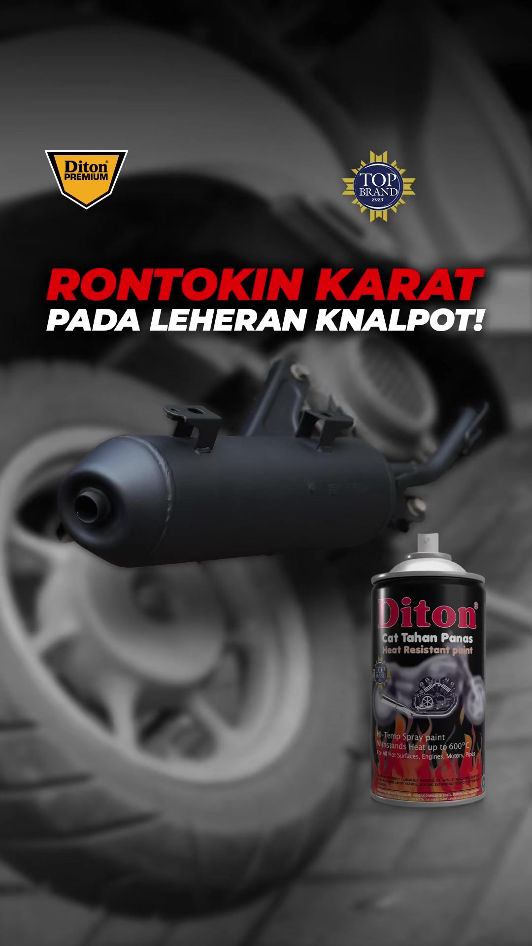 @Diton Premium