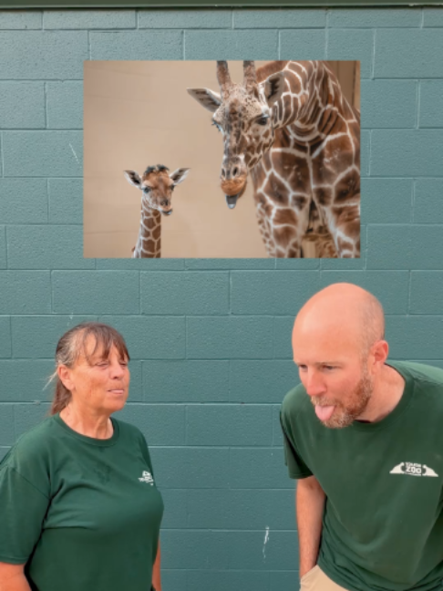 @The Toledo Zoo