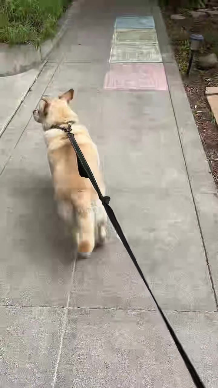 @preampetcare