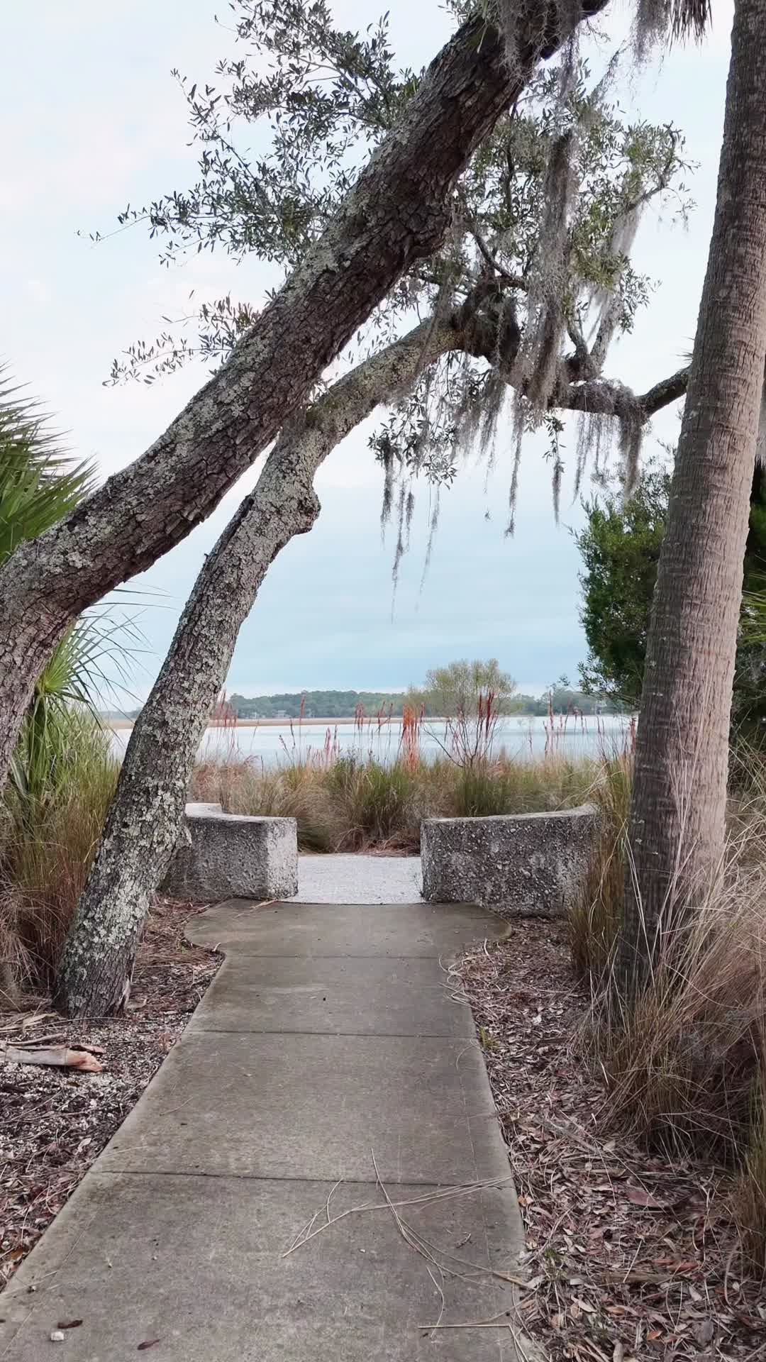 @Hampirk | Lowcountry
