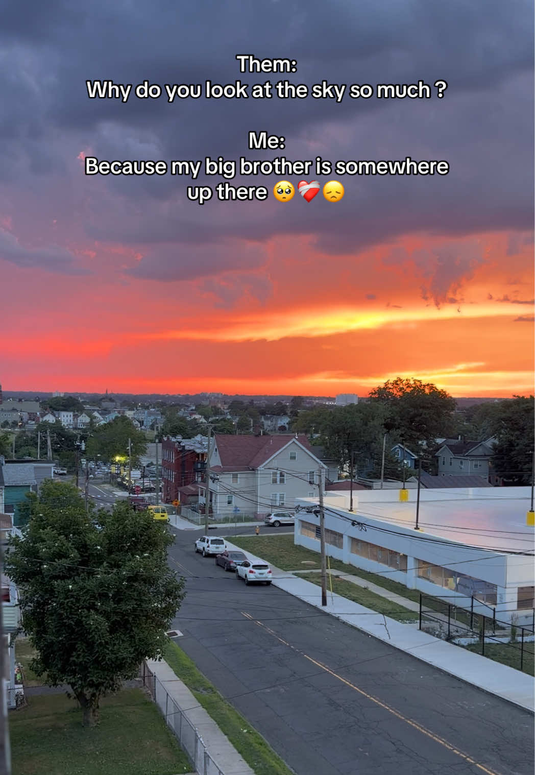 @Shar 🦋🩵