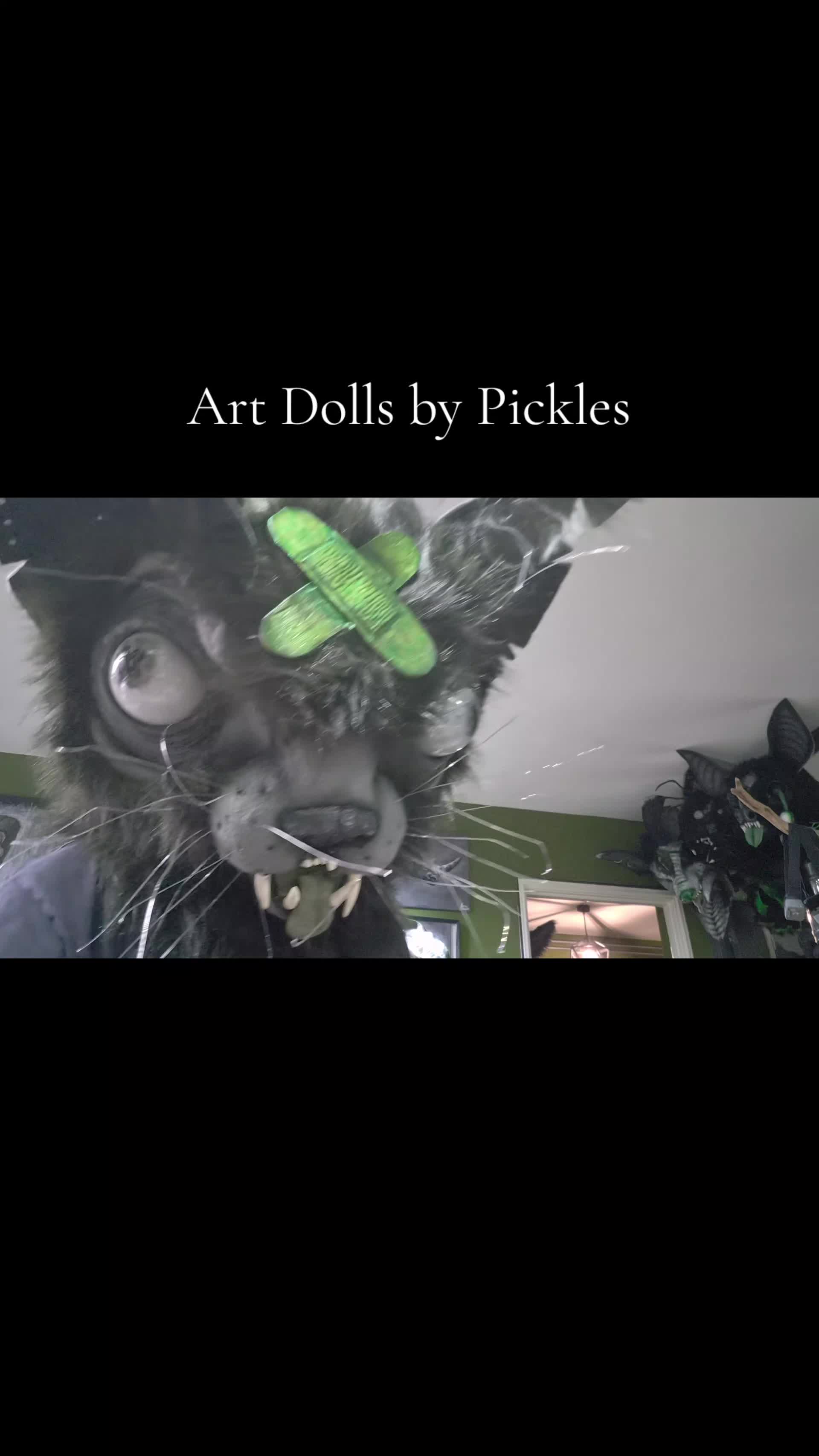 @🪲 🦠Moldy Pickles 🦠🪲