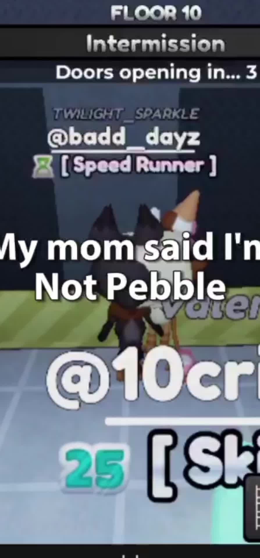 @${Pebble Rants}$