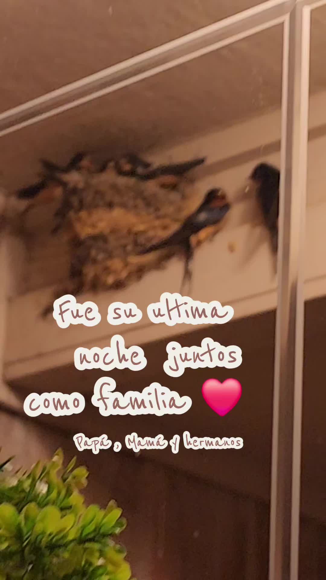 @Mi Rinc&oacute;n Favorito
