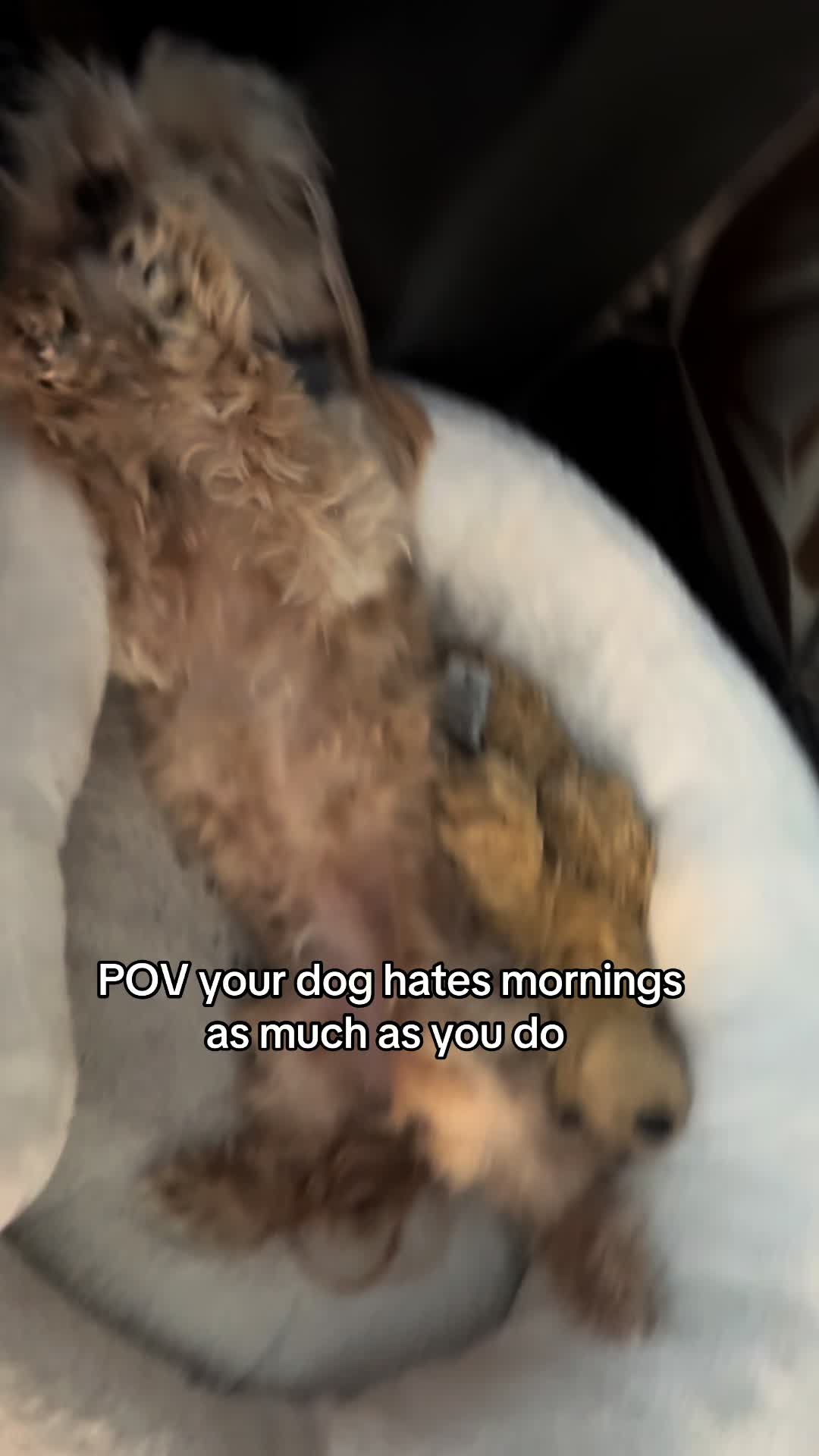 @mads
