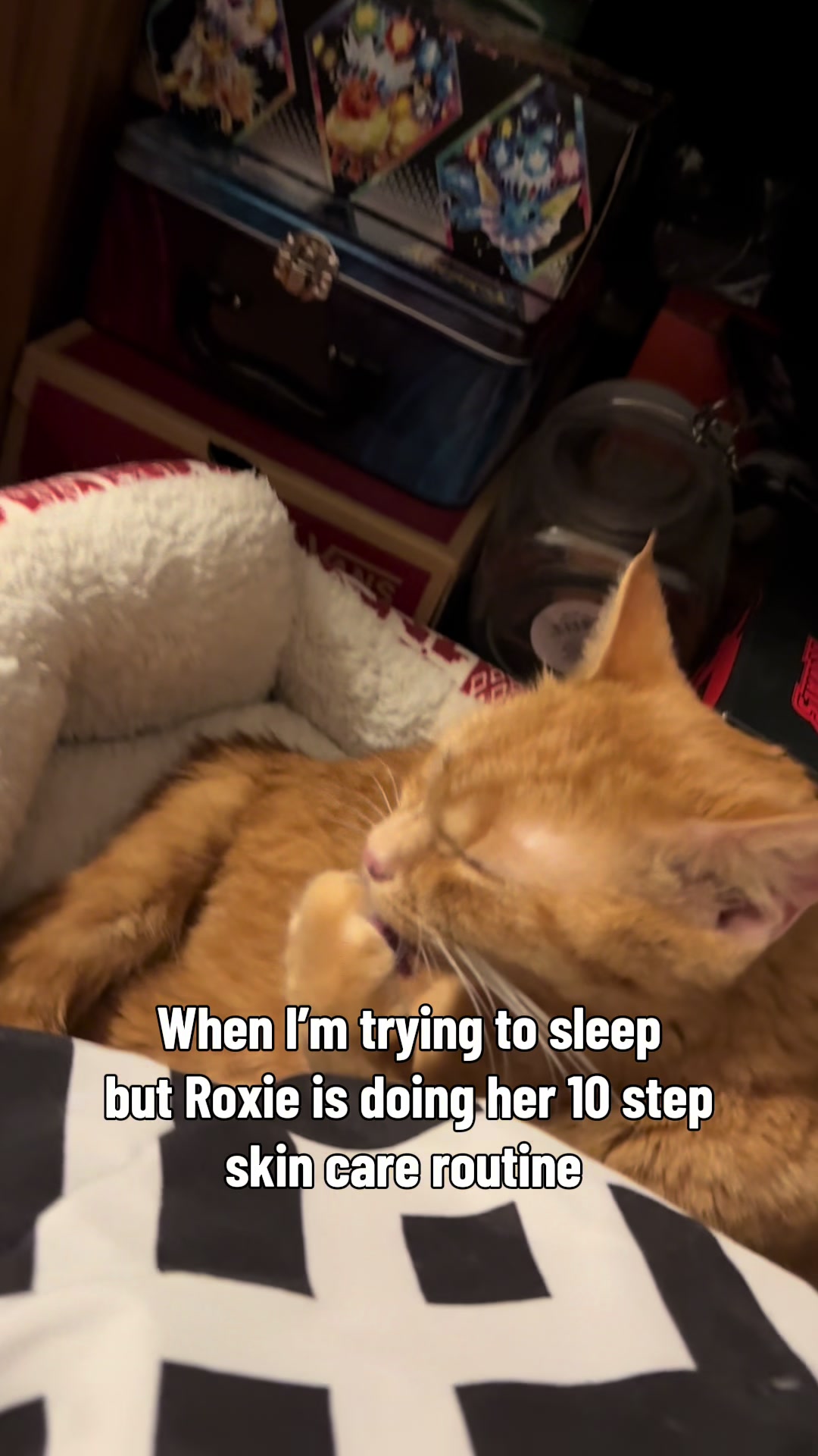 @Roxiemiauwmiauw