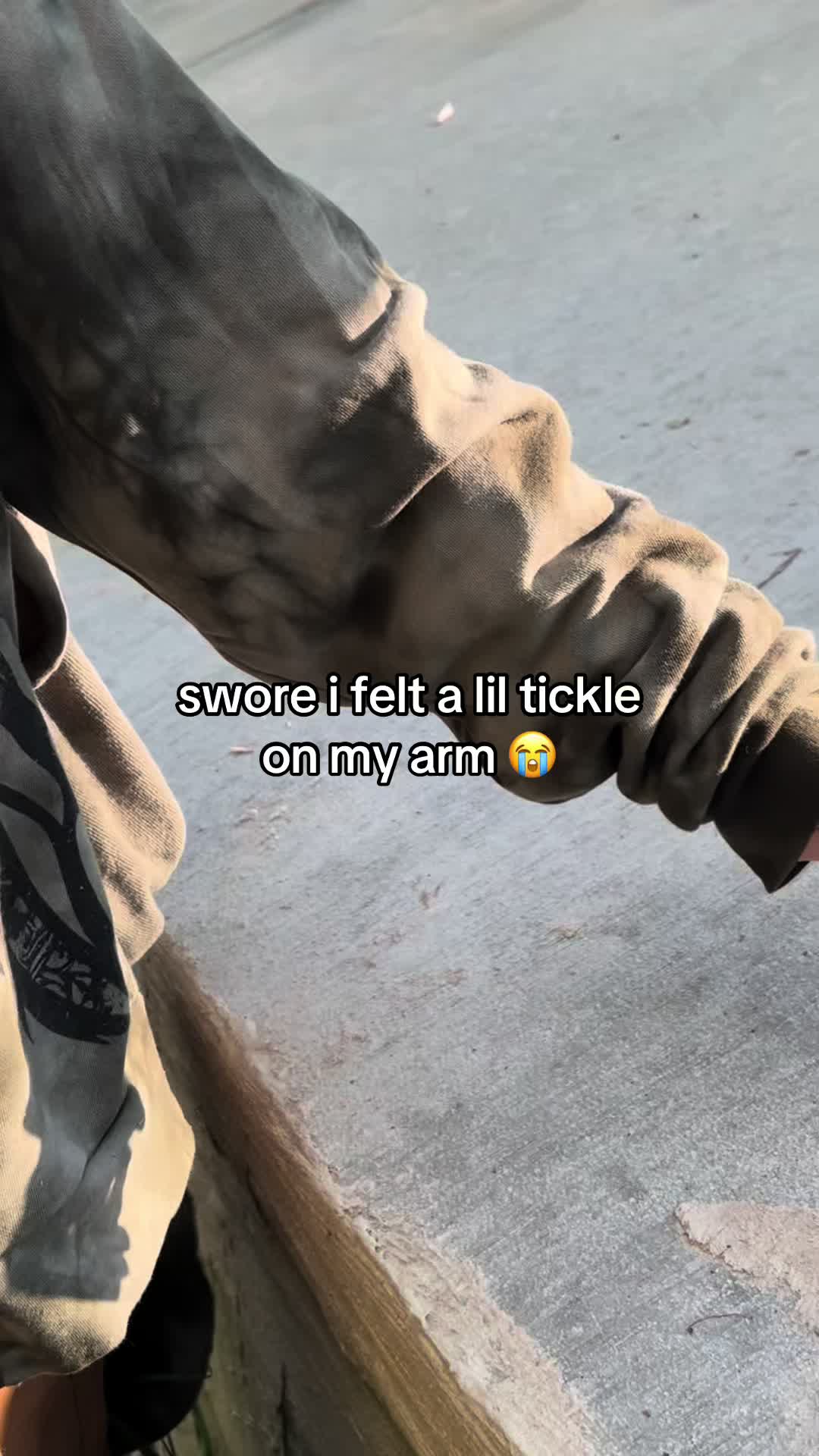 @laz 🕷️
