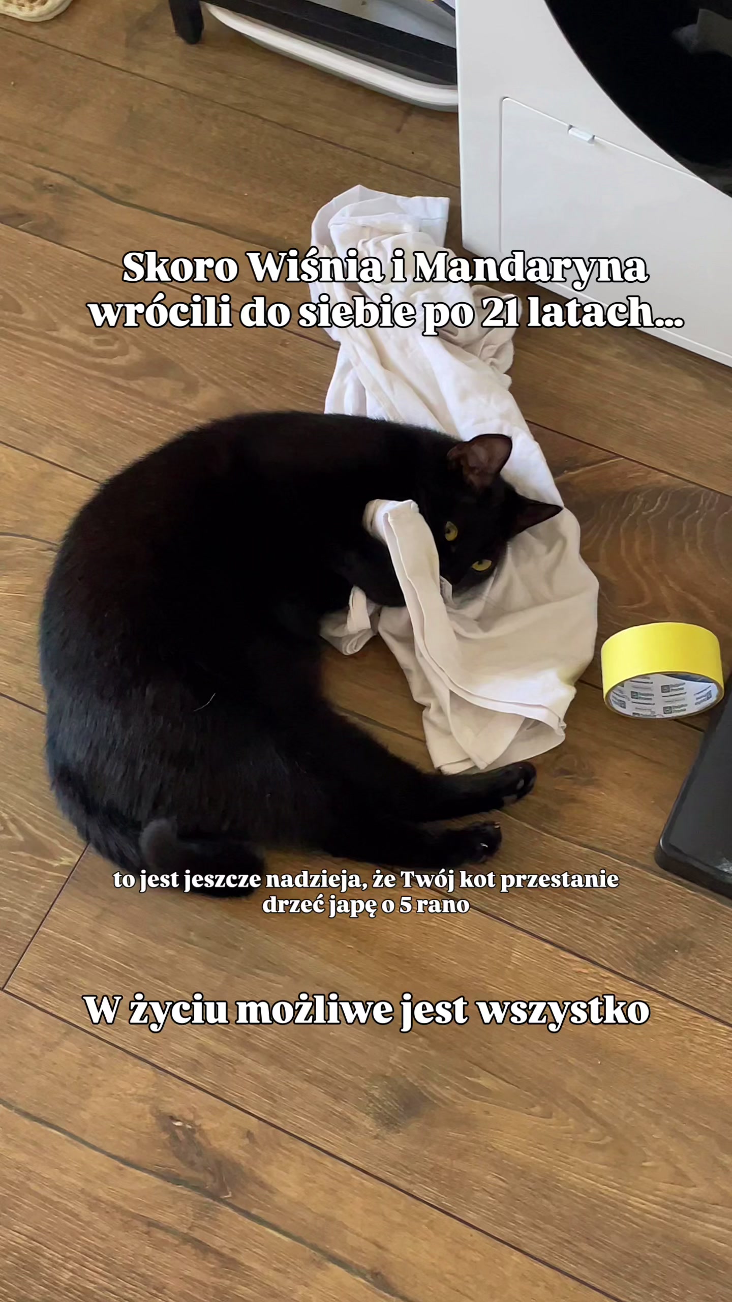 @IG: mrrrtasy