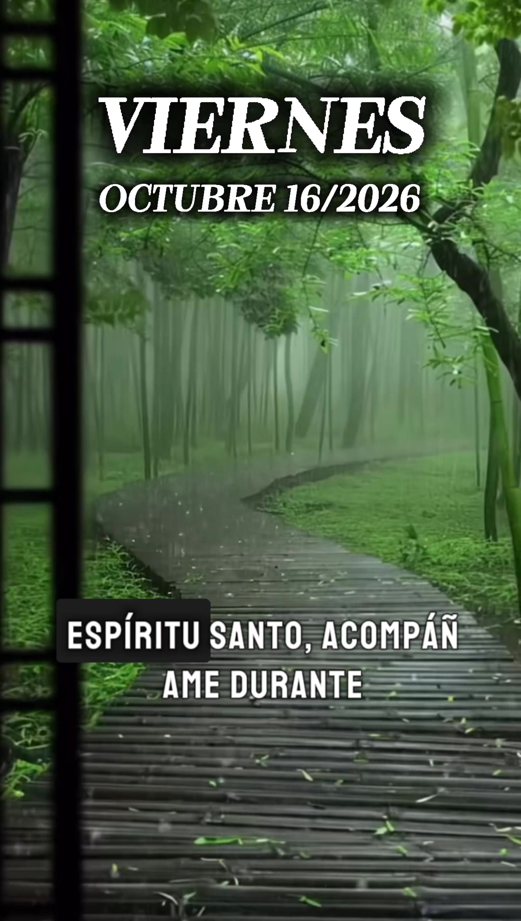 @Música del Cielo