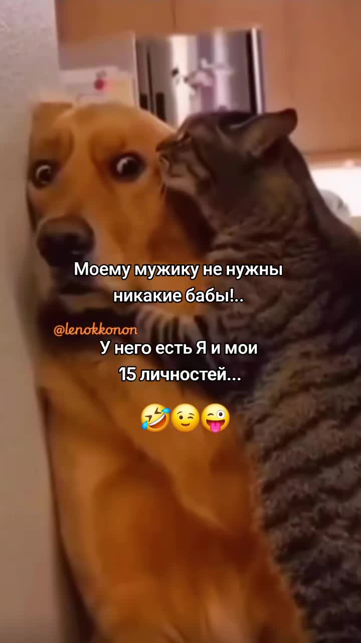 @Lenok