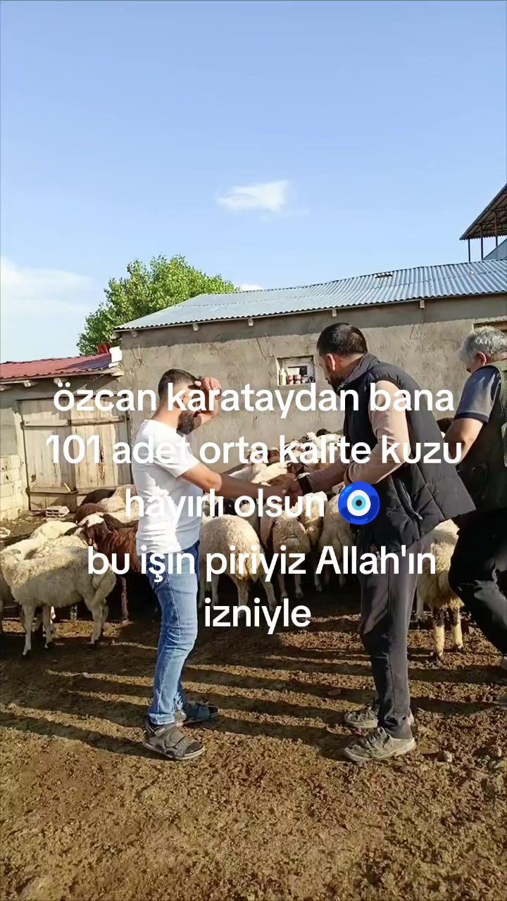 @NEVROZ KARATAY