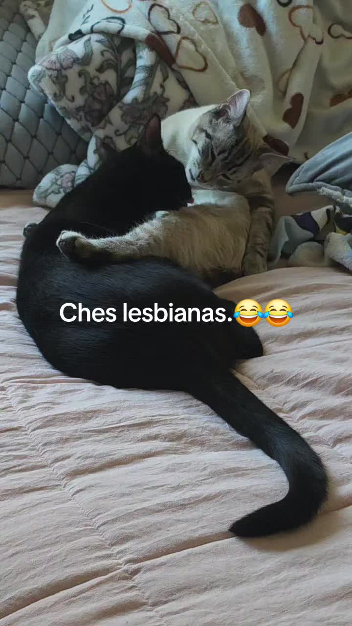 @Pink and Blue.