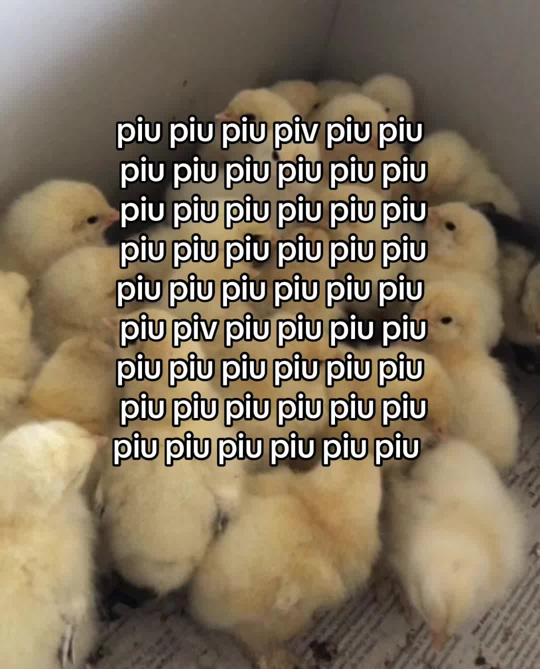 @๐๐ฆ๐ฬ๐ฅ๐ข๐๐โ๐ป๐ฆ