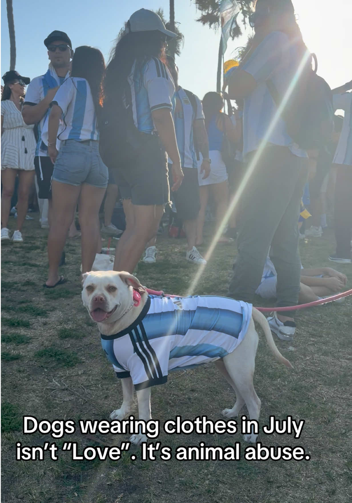 @Dogs aren&rsquo;t Family