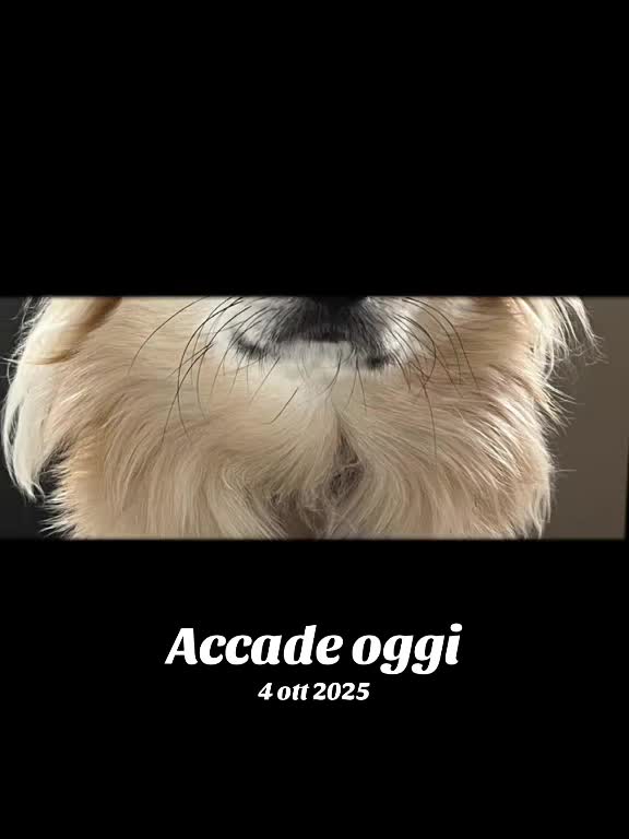 @annarella1974.bella