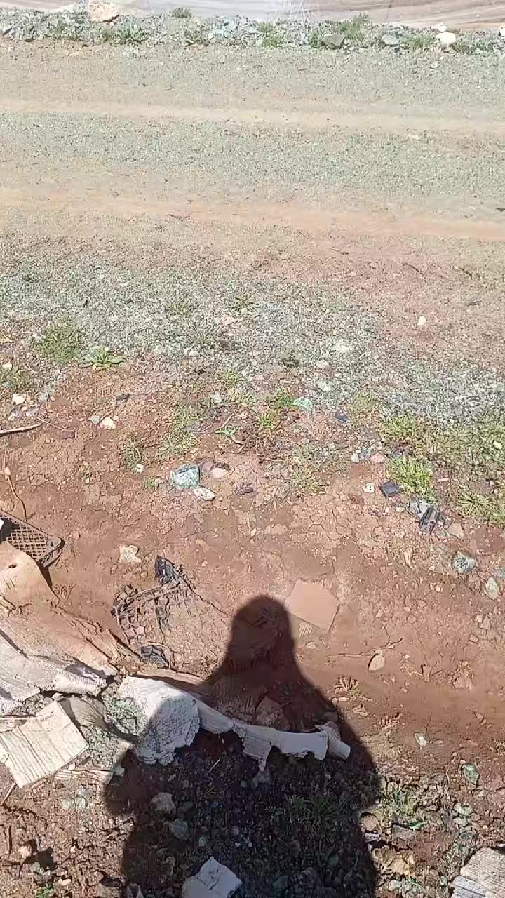 @Oktay Aydın