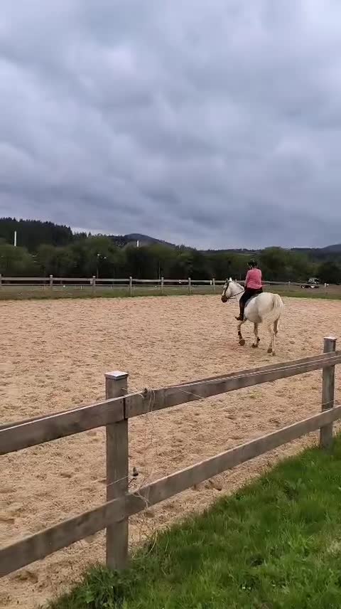 @Laura..Bijker