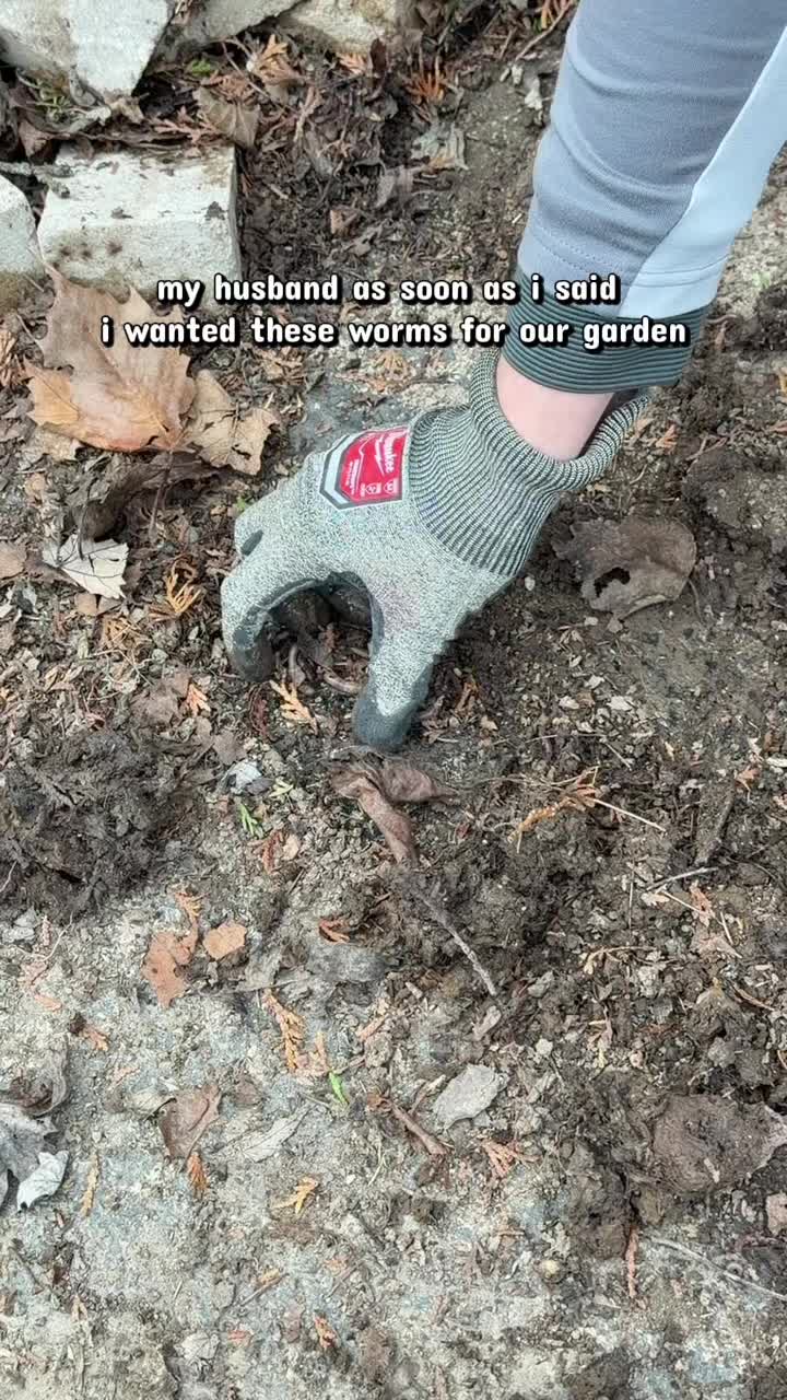 @Plantpusherr