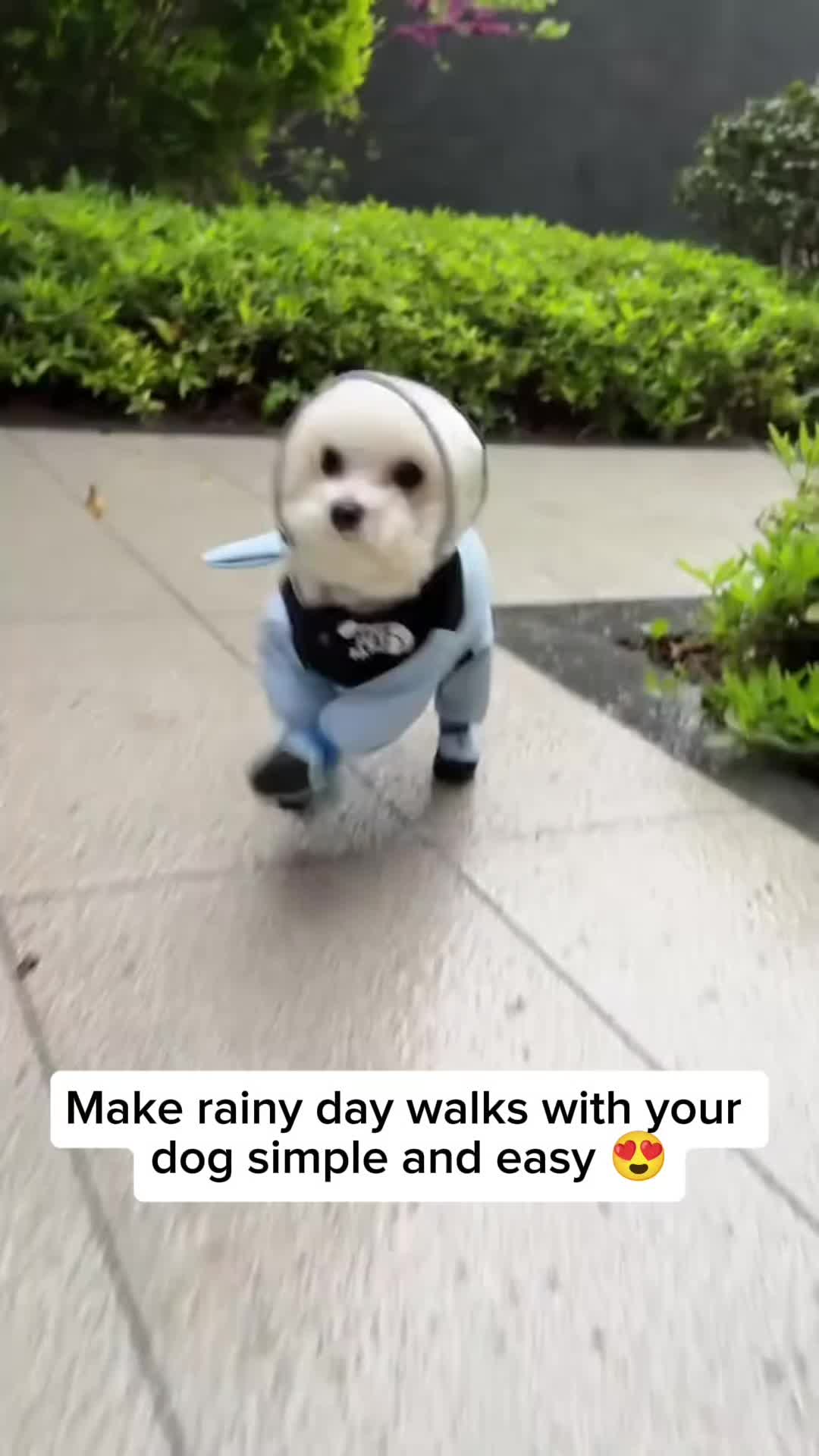 @Pet products