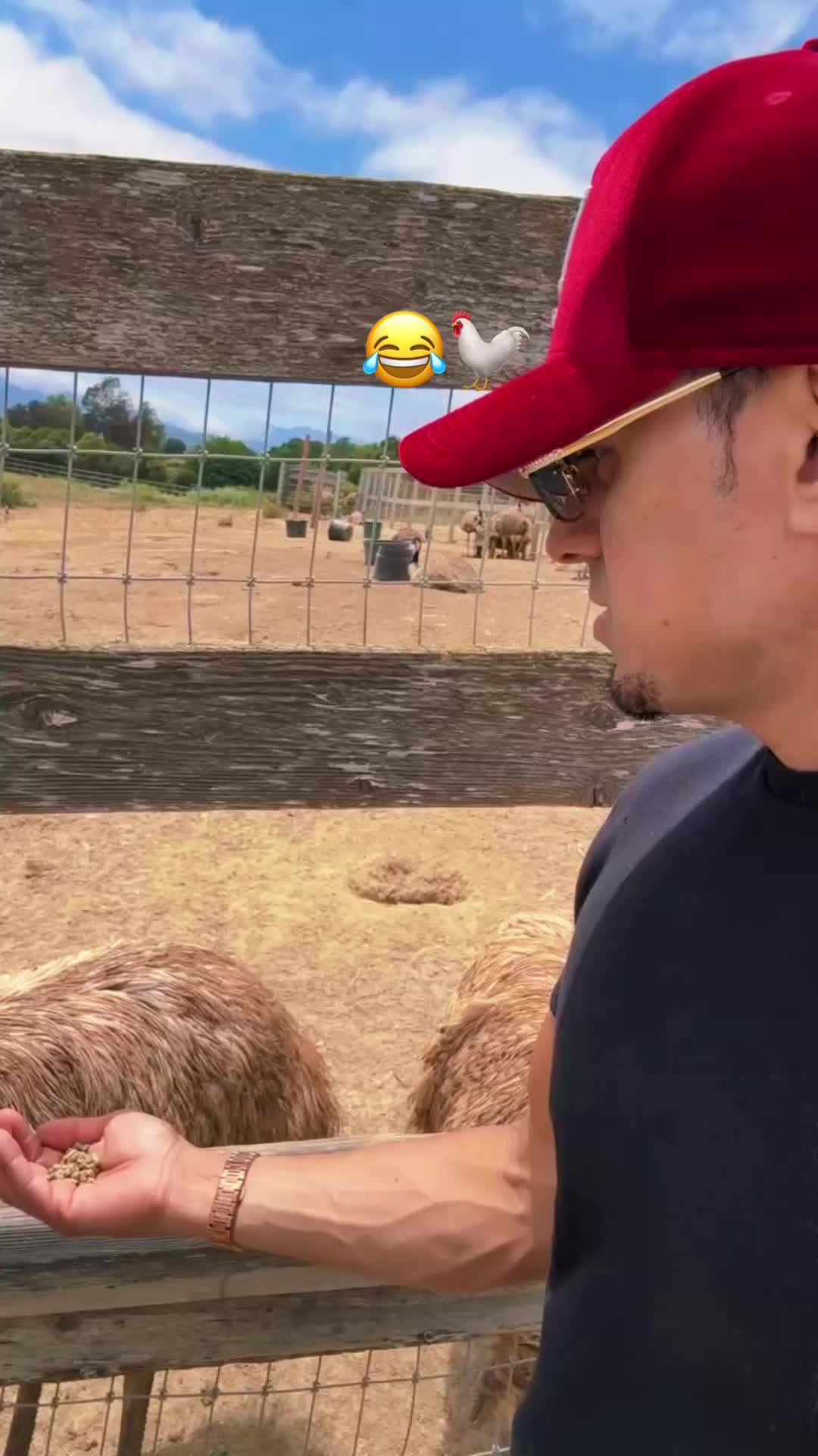 @Nekomejia