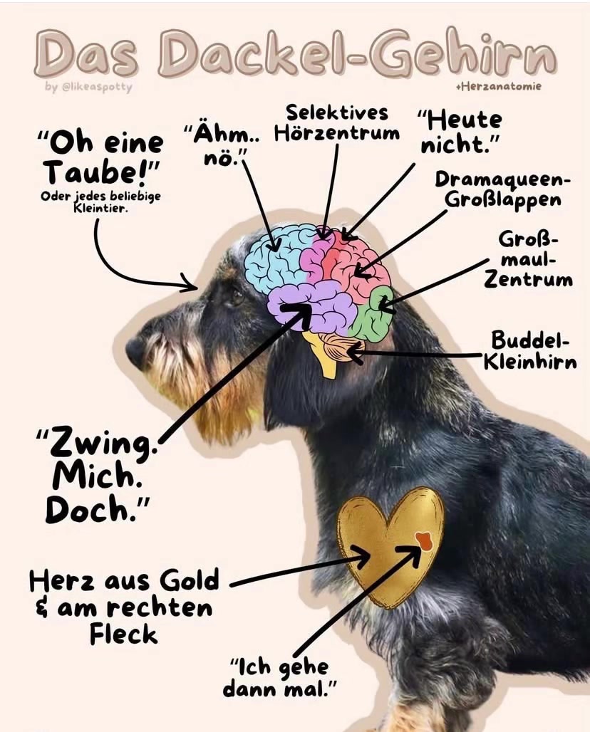 @Ichschützekinderundtiere